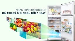 Hướng dẫn sử dụng tủ lạnh Electrolux ESE6141A-B cho người dùng mới