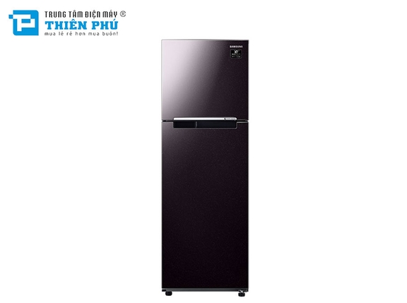 Tủ Lạnh Samsung Inverter RT25M4032BY/SV 2 Cánh 256 Lít