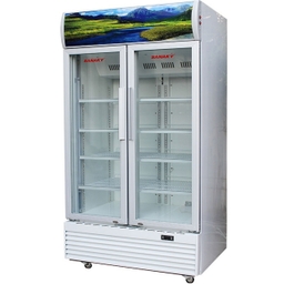 Có nên mua tủ mát Sanaky 2 cánh VH-8009HP3 không? Tại sao?