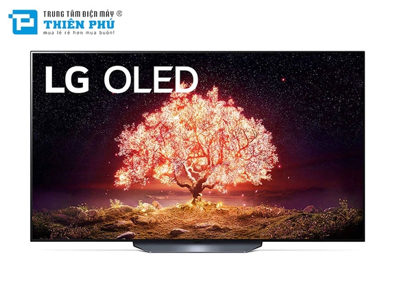 Smart Tivi OLED LG 65 Inch 4K 65B1PTA