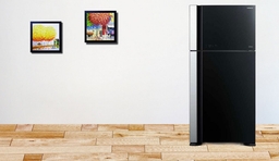 3 chiếc tủ lạnh 2 cánh giá rẻ cho căn bếp mà bạn không nên bỏ qua