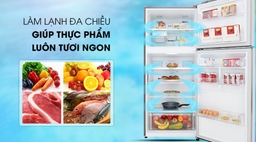 Có nên chọn tủ lạnh LG GN-B222WB 2 cánh 209 lít.