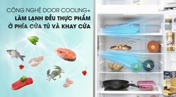 Đánh giá khách quan tủ lạnh LG inverter GN-D255BL