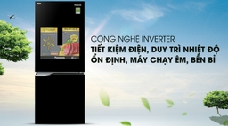 Mẫu tủ lạnh inverter nào đang được lựa chọn nhiều trong năm nay