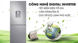 Điểm giống nhau ở tủ lạnh Hitachi R-B410PGV6(SLS) và Samsung RB30N4170S8/SV