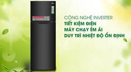 Chiếc tủ lạnh inverter 2 cánh nào đang được lựa chọn nhiều ở hiện nay?