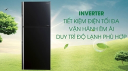 3 chiếc tủ lạnh inverter giá tốt, bán chạy nhất 6 tháng cuối năm 2022