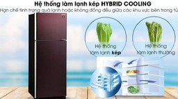 Top tủ lạnh 2 cánh giúp làm lạnh nhanh, tiết kiệm điện hiệu quả