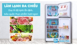 Lý do mà tủ lạnh Samsung RT25M4032BY/SV nhận được nhiều quan tâm