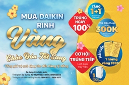 MUA DAIKIN RINH VÀNG CHÀO ĐÓN TẾT SANG