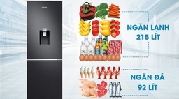 Những ưu điểm lớn mà tủ lạnh Samsung RB30N4170BY/SV 307 lít mang đến