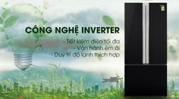 3 chiếc tủ lạnh inverter hứa hẹn sẽ là lựa chọn xác đánh cho bạn