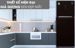 Tủ lạnh Samsung RT29K5532BY/SV hay RB30N4190BY/SV nổi bật hơn?