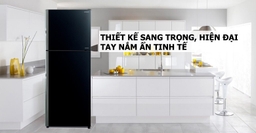 So sánh tủ lạnh Samsung RB30N4170BU/SV và Hitachi R-FVX450PGV9(GBK)