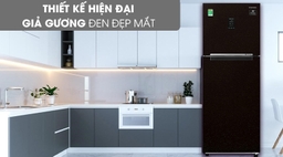 So sánh tủ lạnh Samsung RT29K5532BY/SV và RB30N4190BY/SV