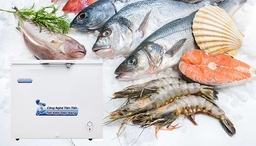 Tủ đông, tủ mát Hòa Phát có bền không? Những điều người mua nên biết