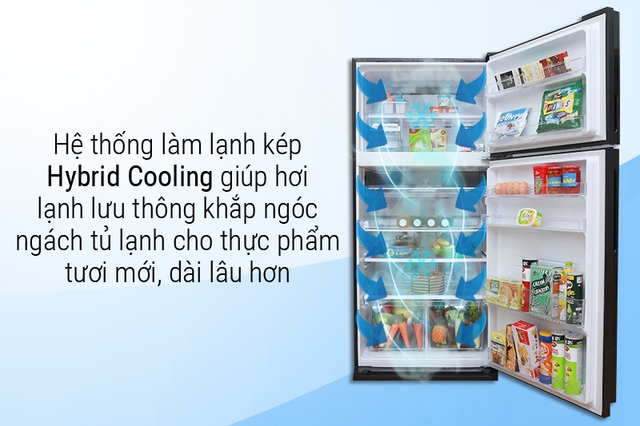 Có nên mua tủ lạnh Sharp inverter 430 lít SJ-XP470AE-SL lựa chọn lý tưởng cho gia đình hiện đại