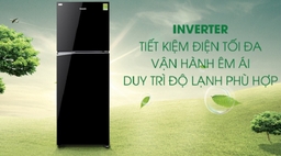Nên chọn mua chiếc tủ lạnh Panasonic 2 cánh nào để tiết kiệm điện tốt nhất?