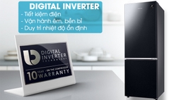 Chiếc tủ lạnh Samsung inverter nào thích hợp với phòng bếp nhất hiện nay