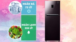 Khác biệt ở tủ lạnh Samsung RT29K5532BY/SV so với RB30N4010S8/SV