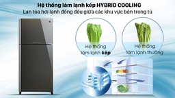 Tính năng nổi bật trong tủ lạnh Sharp 2 cánh SJ-XP660PG-SL bạn cần biết