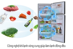 Trên chiếc tủ lạnh Toshiba GR-B22VU(UKG) giá rẻ có điểm gì nổi bật?