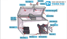 Tìm hiểu cấu tạo và nguyên lý hoạt động của tủ đông giá rẻ Sanaky