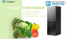Đánh giá ưu-nhược điểm của chiếc tủ lạnh Casper 2 cánh RB-365VB