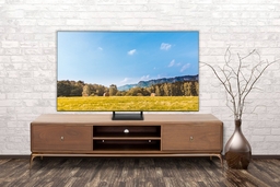 Tài chính 15 triệu có chọn mua được tivi samsung 65 inch?