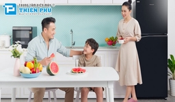 Tiết kiệm năng lượng và tiền điện với tủ lạnh Panasonic Inverter NR-TV261BPAV