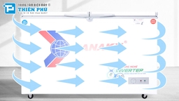 3 lý do khiến tủ đông Sanaky Inverter VH-4099W3 trở nên ưa chuộng hơn