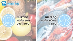 Bảo quản thực phẩm 4 mùa với tủ đông Sanaky Inverter 2 ngăn VH-4099W3