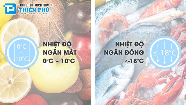 Bảo quản thực phẩm 4 mùa với tủ đông Sanaky Inverter 2 ngăn VH-4099W3