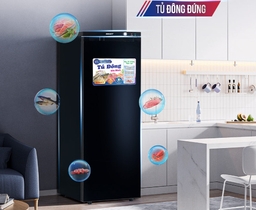 Tìm hiểu nguồn gốc xuất xứ và giá bán của tủ đông Sanaky 213 lít VH-230VD3