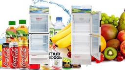 Tủ mát Sanaky 2 cánh VH-258WL có phải lựa chọn tốt nhất hiện nay không?