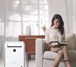 Tận hưởng không gian sạch sẽ: Giải quyết vấn đề ẩm mốc với máy hút ẩm Sharp DW-D20A-W