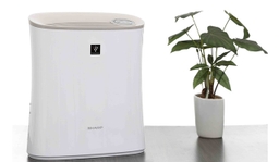 Đánh giá các tác động của máy lọc không khí Sharp đối với sức khỏe của bạn