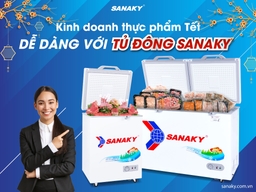 Tủ đông Sanaky &#8211; Top 3 sự lựa chọn hiện đại và tiết kiệm năng lượng