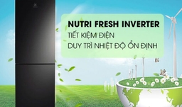 3 mẫu tủ lạnh inverter sẽ là lựa chọn hữu ích dành cho gia đình