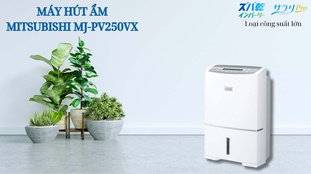 Cách máy hút ẩm Mitsubishi MJ-PV250VX giúp cải thiện sức khỏe gia đình bạn