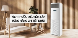 Lý do TOP 3 điều hòa cây giá rẻ Daikin lại được bạn chạy năm 2024