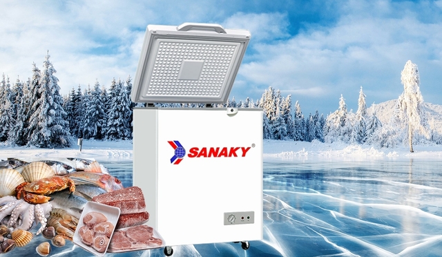 Tìm hiểu về tủ đông Sanaky 1 cánh VH-1599HYK: Xuất xứ, giá cả và ưu nhược điểm