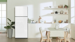 Mẫu tủ lạnh 2 cánh nào đang được lựa chọn nhiều ở hiện tại?