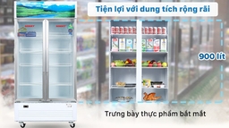 Sức chứa thực phẩm thực tế của tủ mát Sanaky VH-1009HP là bao nhiêu?