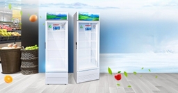 Nên mua tủ mát hãng nào vừa tốt giá vừa rẻ? Chia sẻ 3 model tốt nhất đáng mua hiện nay