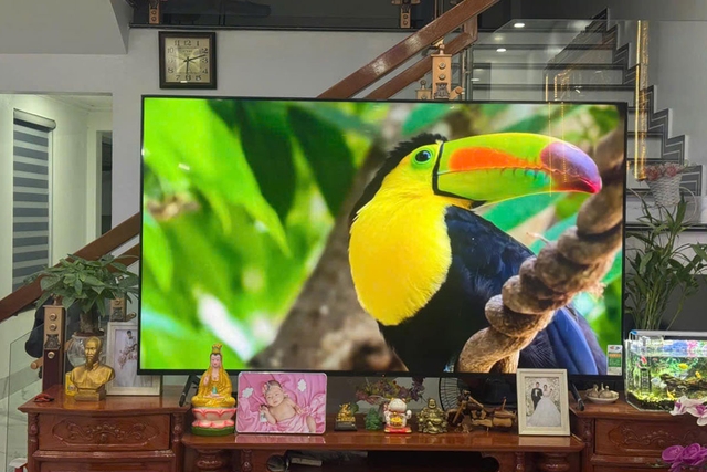 Tivi Sony 75 inch 4K K-75S30 &#8211; Sự lựa chọn không thể bỏ qua cho phòng khách gia đình