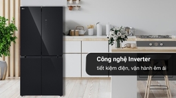 Một vài điểm ấn tượng ở tủ lạnh LG giá rẻ LFB47BLG bạn nên biết
