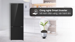 4 lý do khiến tủ lạnh LG 2 cánh LBB33BLGA thu hút người tiêu dùng