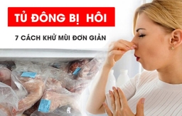 Cách khử mùi hôi cho tủ đông Sanaky làm tại nhà đơn giản và hiệu quả