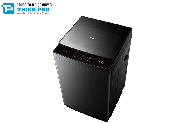 Máy Giặt Sharp 12.5Kg ES-TM125CN-BK